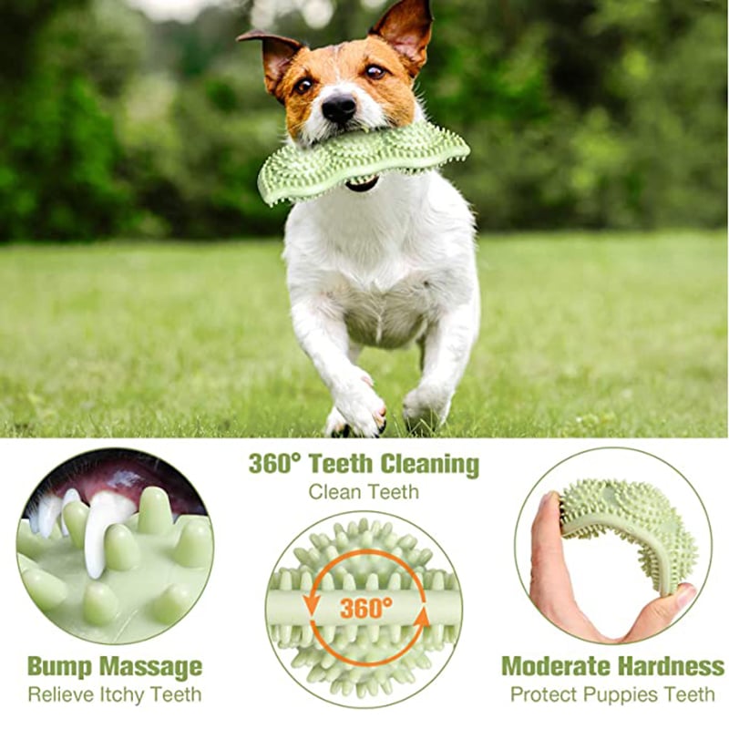 Bite-Resistant Dog Toy