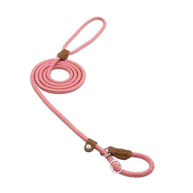 Dog Leash https://mypetolia.com/