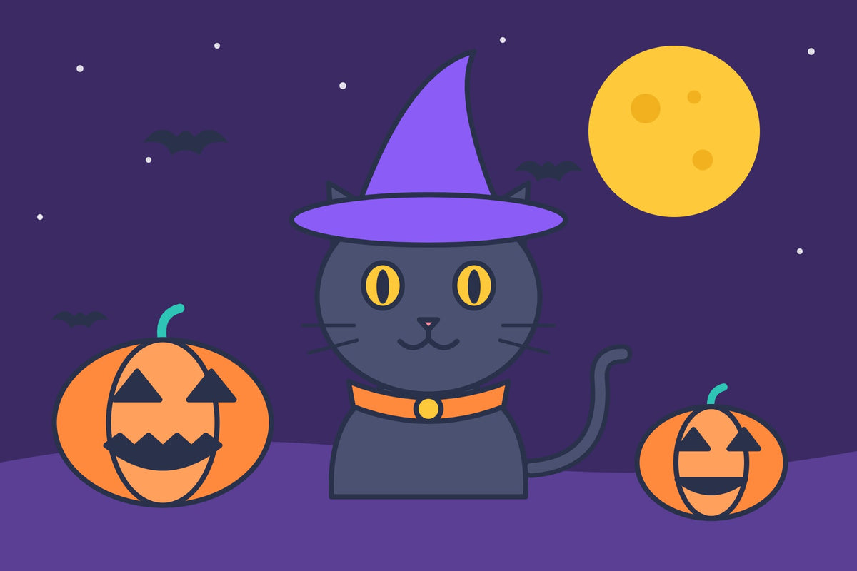 Black cat in a witch hat with pumpkins under a full moon