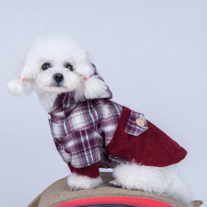 Teddy Pomeranian Cashmere Coat for Ultimate Comfort and Style