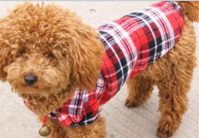 Pet Checkered Shirt