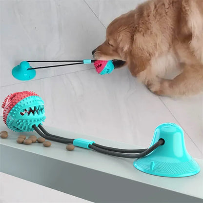 Suction Ball Dog Toy