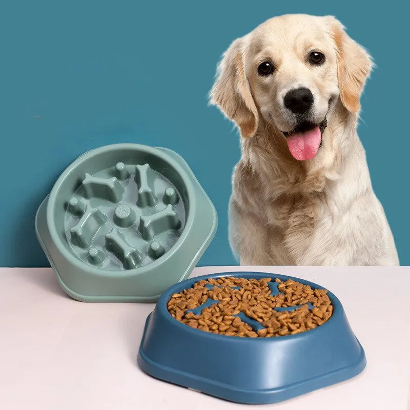 Slow Feeder Pet Bowl for Healthy Eating and Reduced Bloating