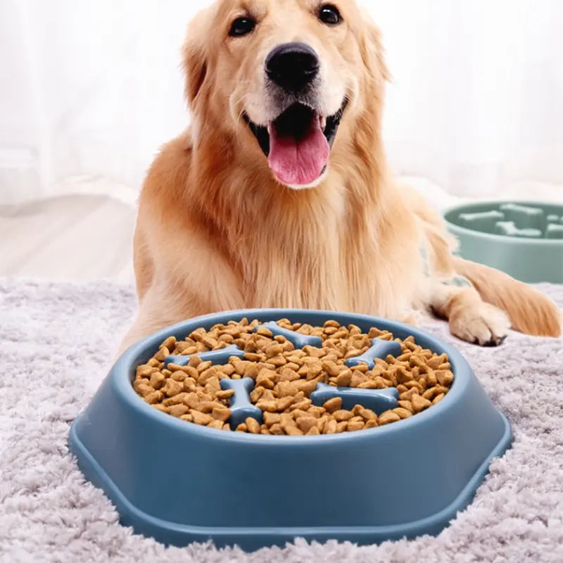 Slow Feeder Pet Bowl for Healthy Eating and Reduced Bloating