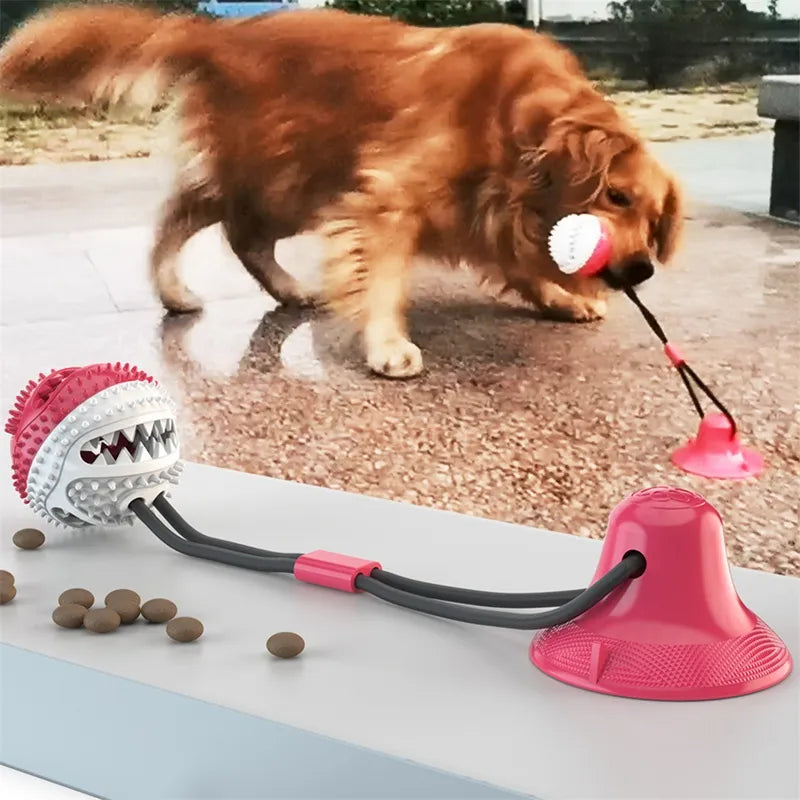Suction Ball Dog Toy