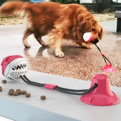 Suction Ball Dog Toy