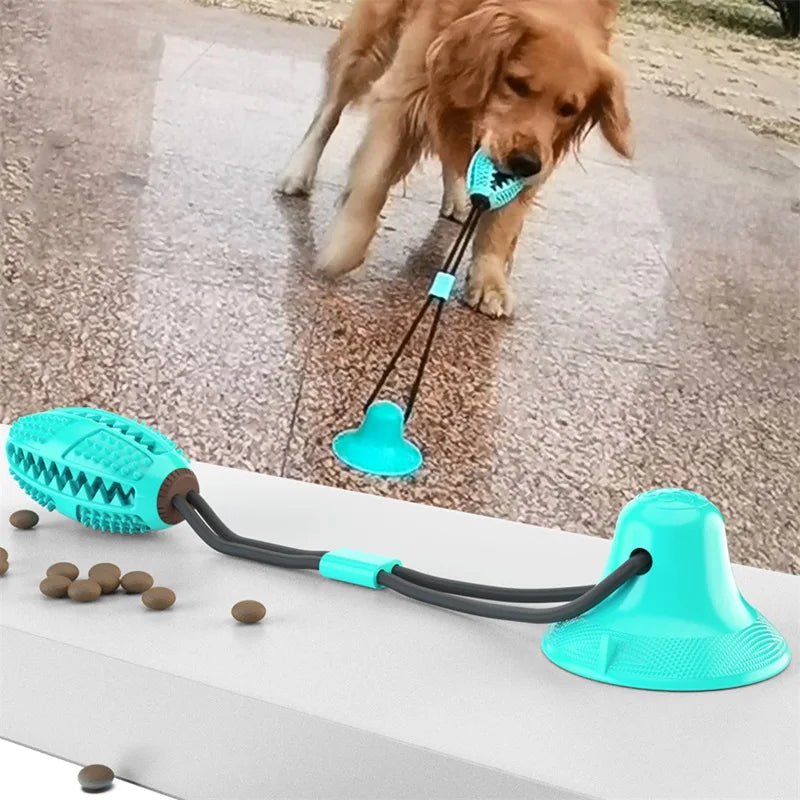 Suction Ball Dog Toy