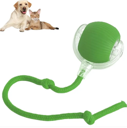 Smart Pet Ball
