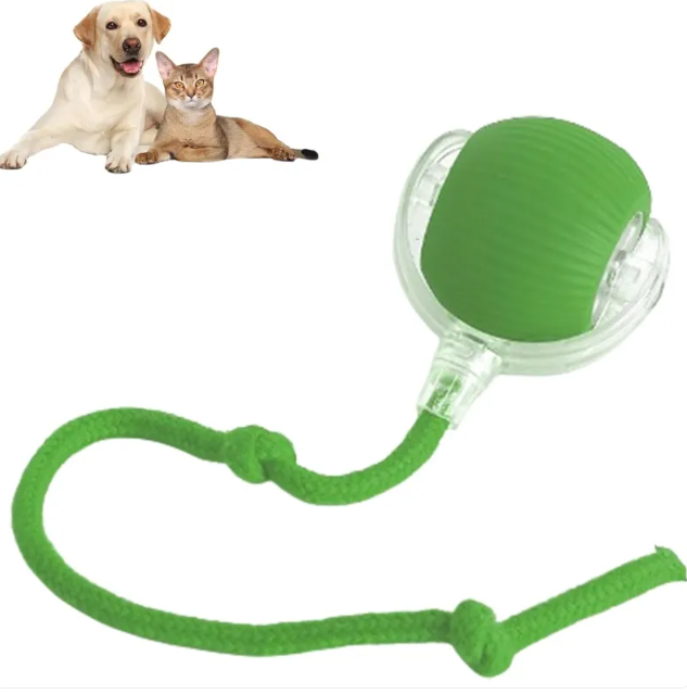 Smart Pet Ball