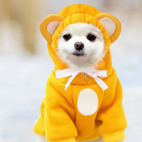 Pet Hoodies