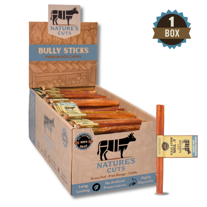 6" Thin Bully Sticks Display Box-5