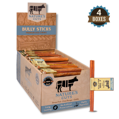 6" Thin Bully Sticks Display Box-6