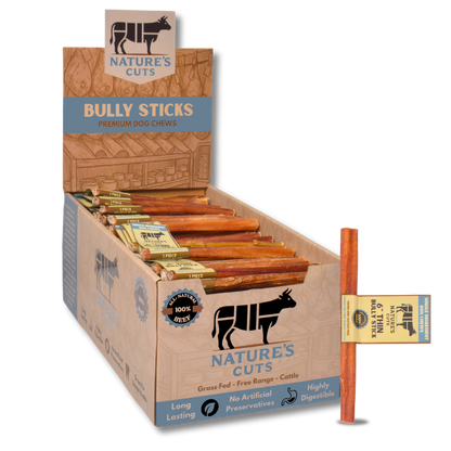6" Thin Bully Sticks Display Box-0