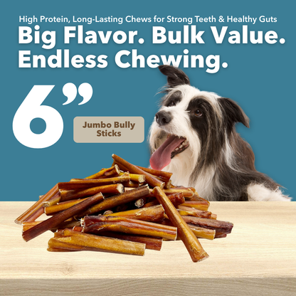 6" Jumbo Bulk Bully Sticks-1