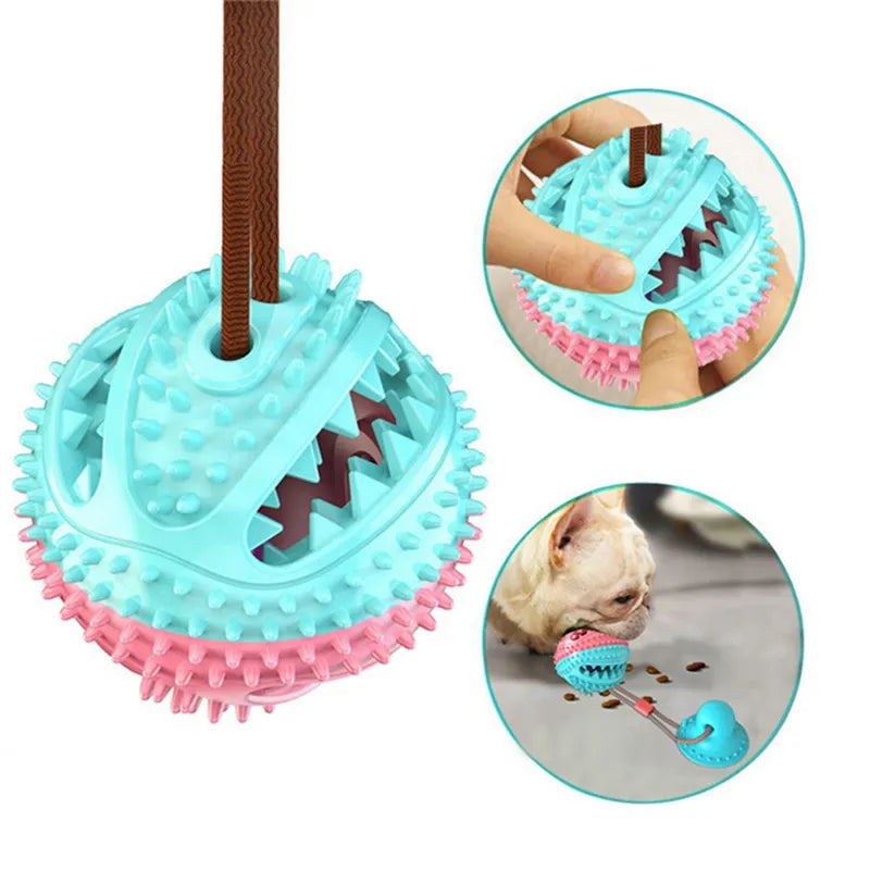 Suction Ball Dog Toy