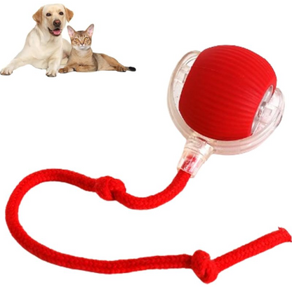 Smart Pet Ball