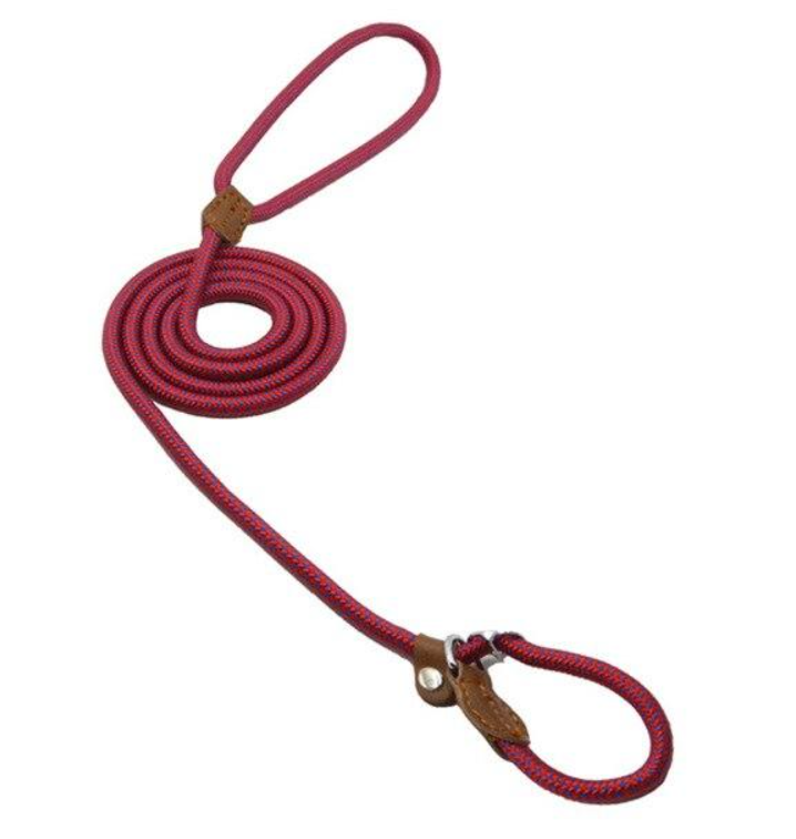 Dog Leash https://mypetolia.com/