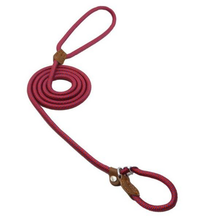 Dog Leash https://mypetolia.com/