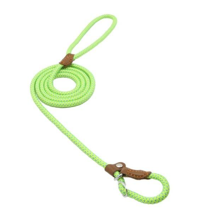 Dog Leash https://mypetolia.com/