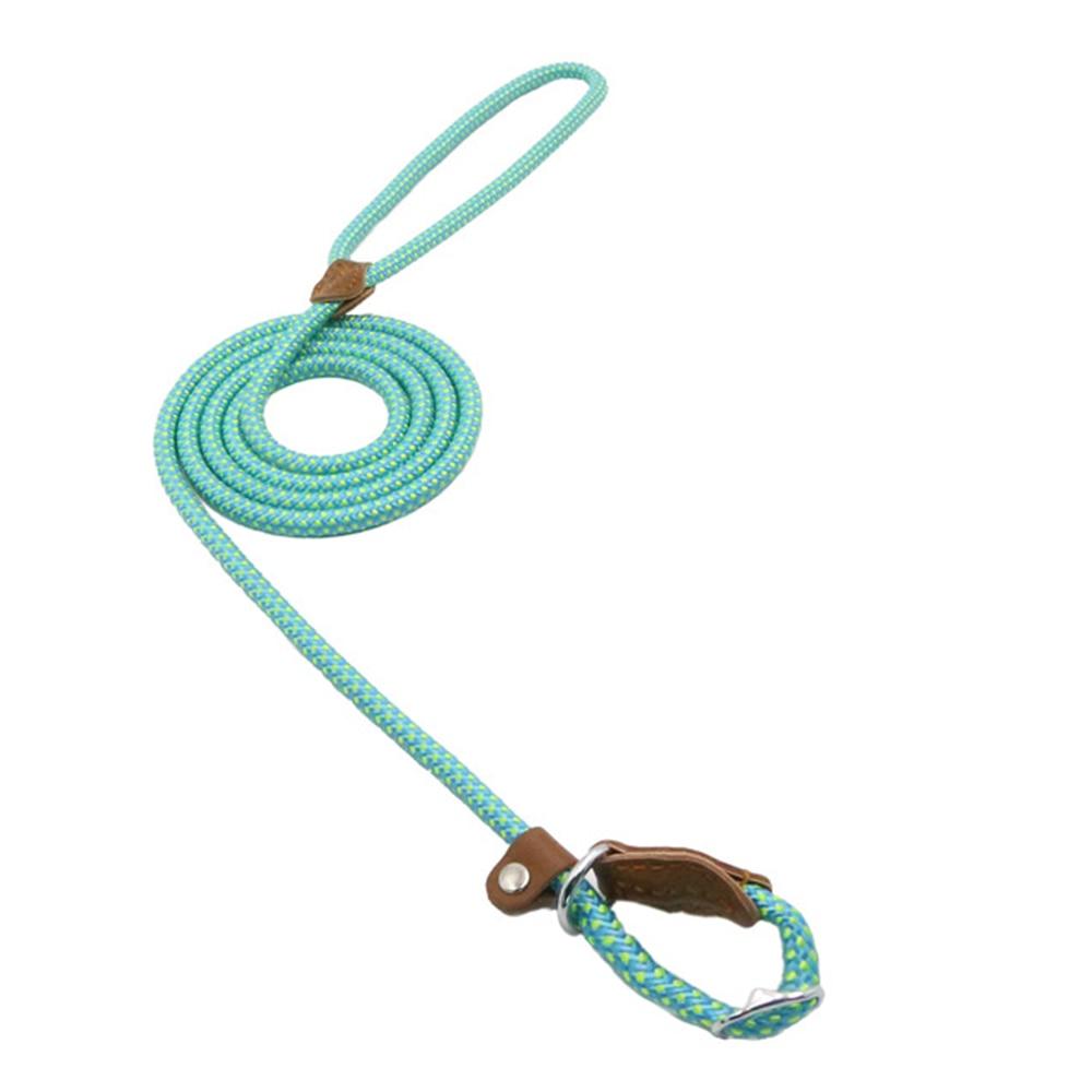 Dog Leash https://mypetolia.com/