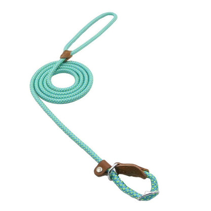 Dog Leash https://mypetolia.com/