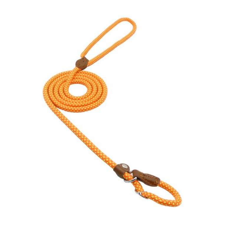Dog Leash https://mypetolia.com/