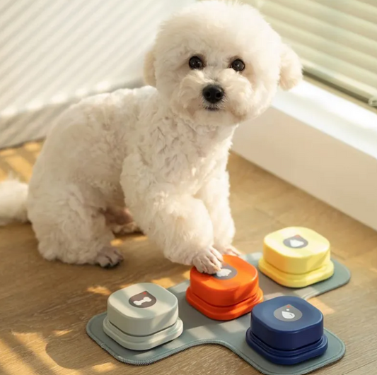 Dog Pet Toy https://mypetolia.com/