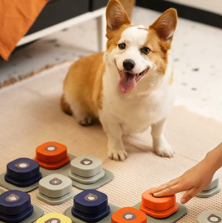 Dog Pet Toy https://mypetolia.com/