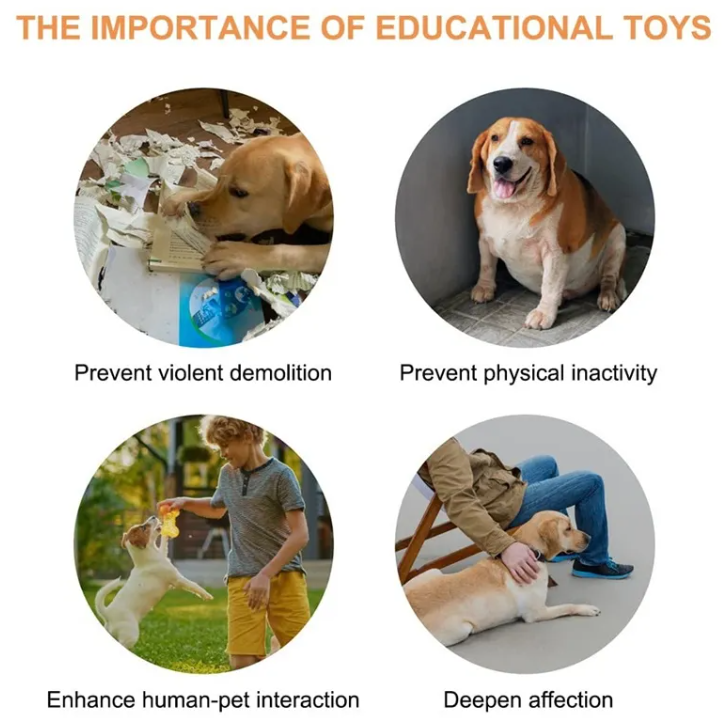 Dog Pet Toy https://mypetolia.com/