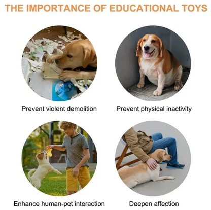 Dog Pet Toy https://mypetolia.com/