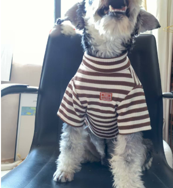 Dog clothes https://mypetolia.com/