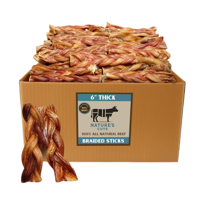 6" Thick Braided Bully Sticks-0