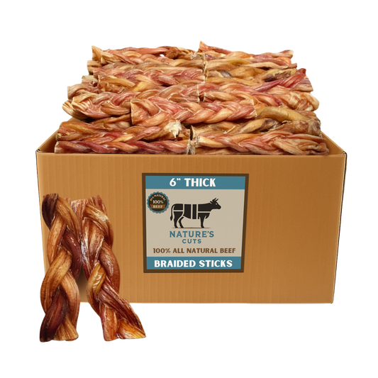 6" Thick Braided Bully Sticks-0