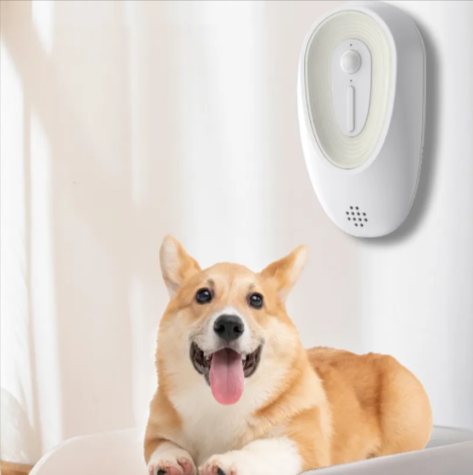 Pet Odor Eliminator https://mypetolia.com/
