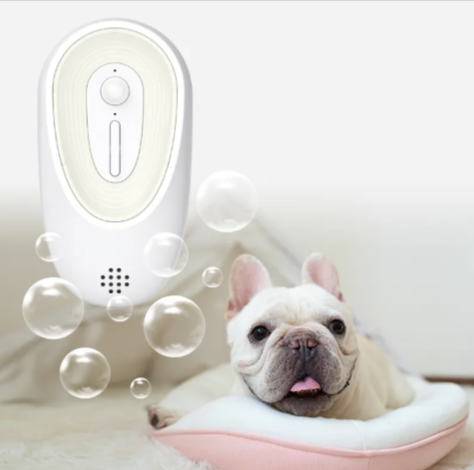 Pet Odor Eliminator https://mypetolia.com/