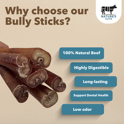 6" Thin Bully Sticks Display Box-3