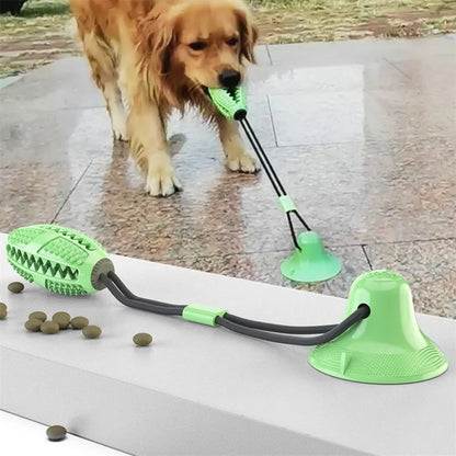 Suction Ball Dog Toy