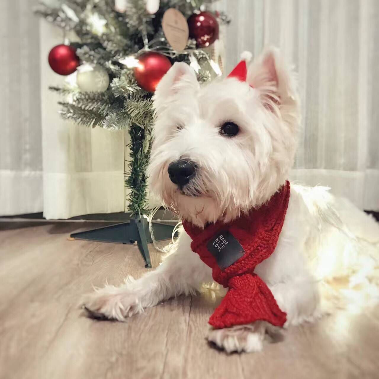 Thick Warm dog scarf