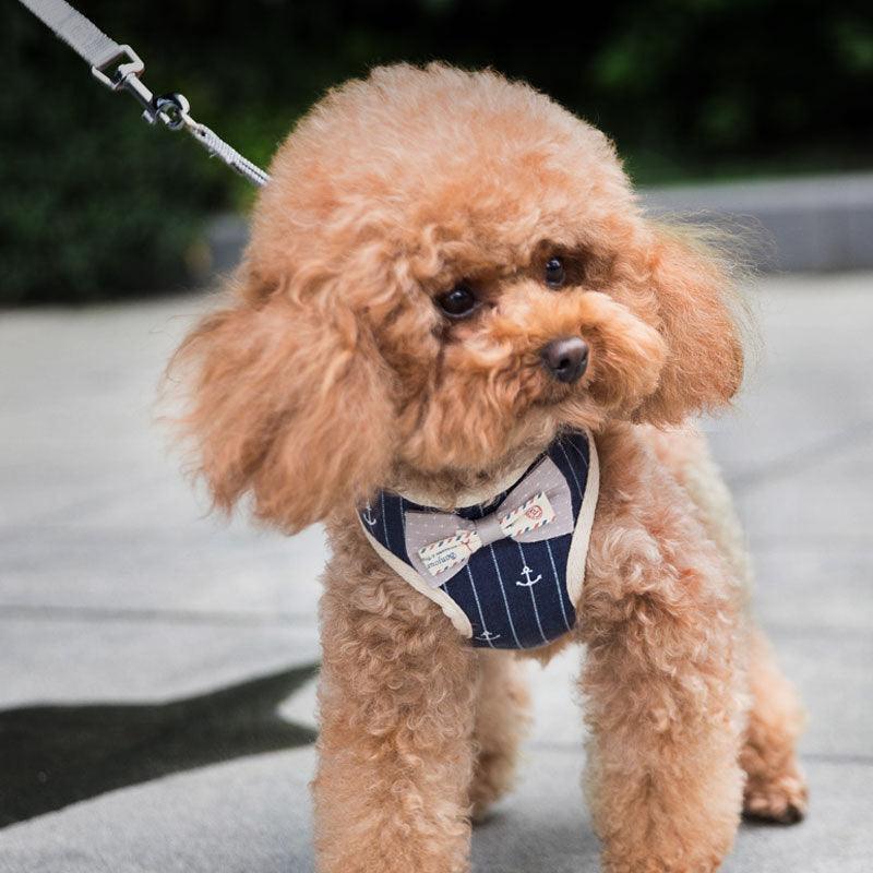Breathable Mesh Pet Leash For Dogs And Cats-4
