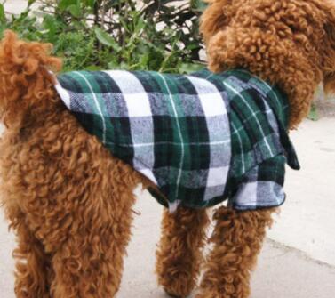 Pet Checkered Shirt