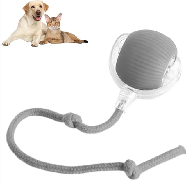Smart Pet Ball