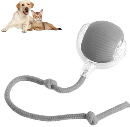Smart Pet Ball