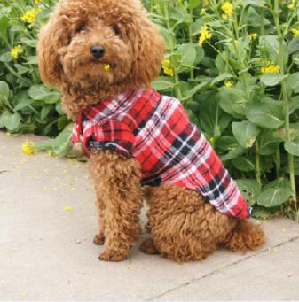 Pet Checkered Shirt