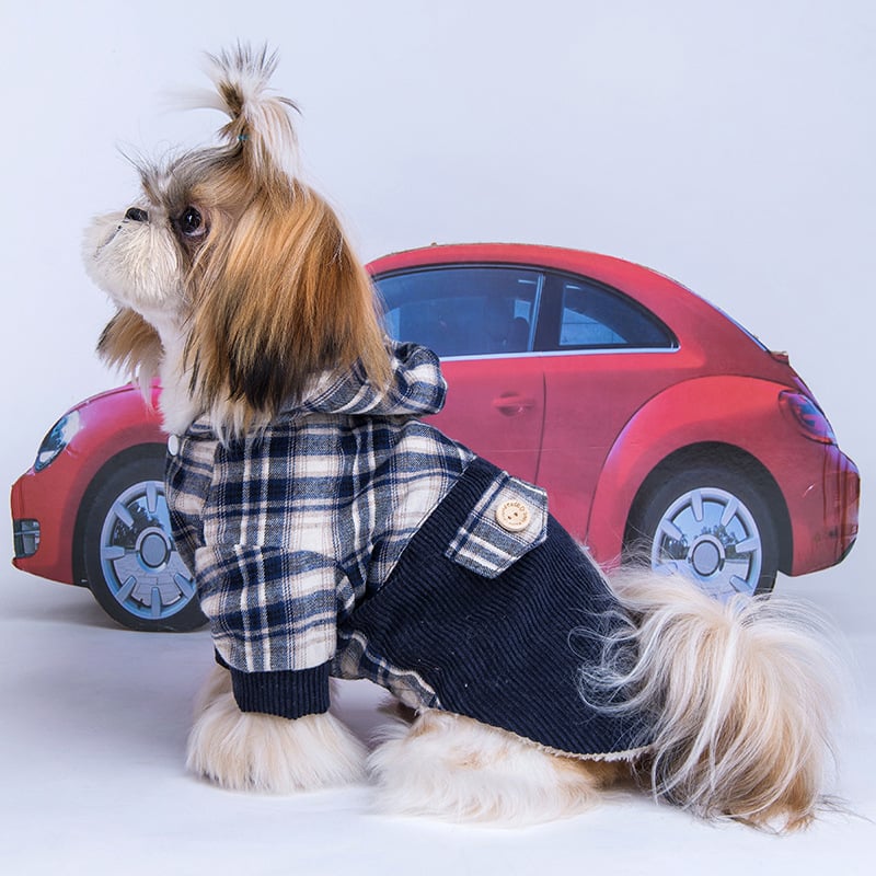 Teddy Pomeranian Cashmere Coat for Ultimate Comfort and Style